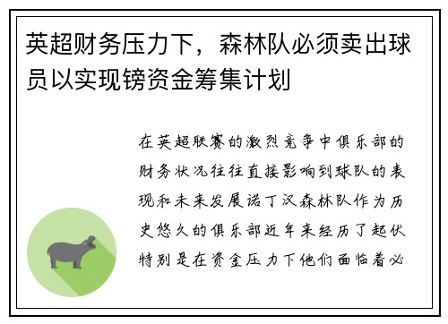 英超财务压力下，森林队必须卖出球员以实现镑资金筹集计划