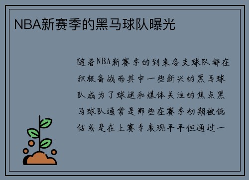 NBA新赛季的黑马球队曝光
